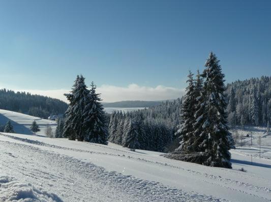 Catalli Herrischried Esterno foto